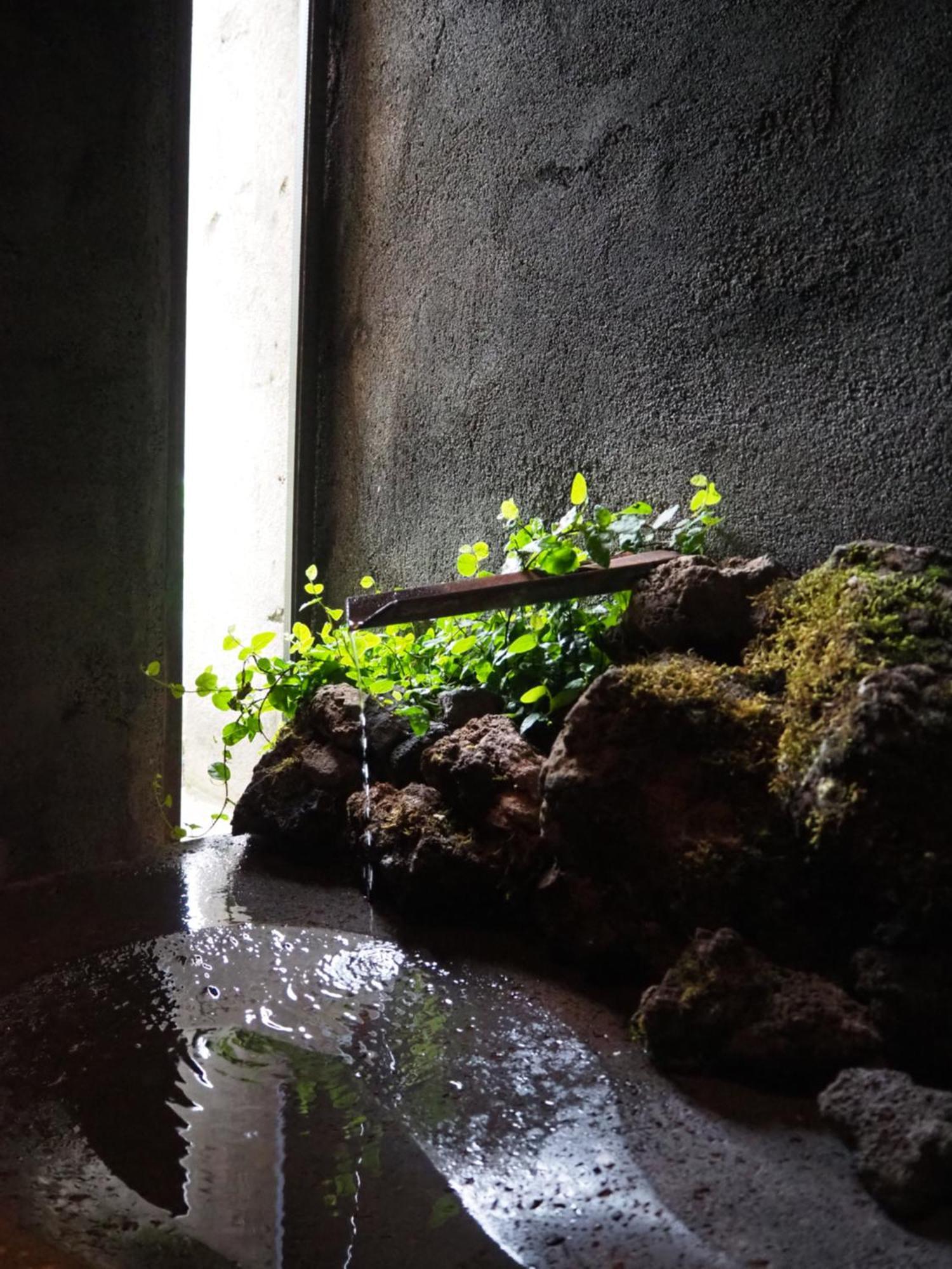 Les Cols Pavellons Pension Olot Buitenkant foto